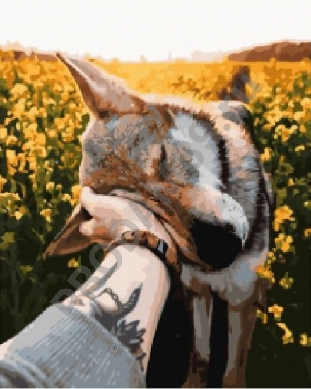 Картина по номерам 40х50 VA-2996