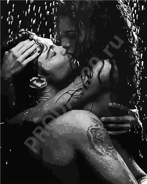 Картина по номерам 40х50 VA-2994