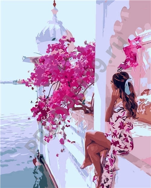 Картина по номерам 40х50 VA-2987