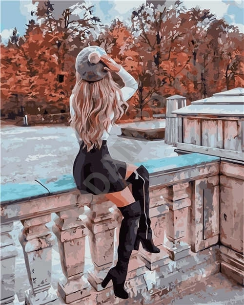 Картина по номерам 40х50 VA-2964