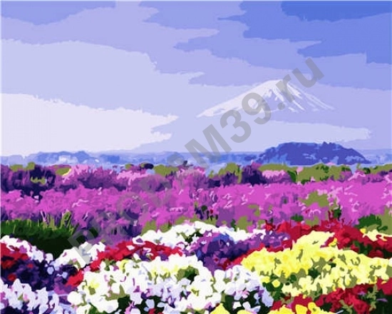 Картина по номерам 40х50 VA-2911