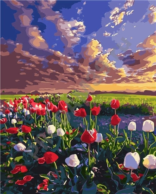 Картина по номерам 40х50 VA-2894