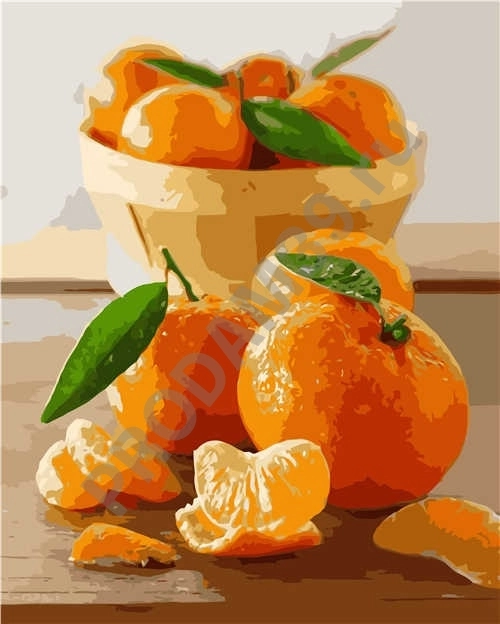 Картина по номерам 40х50 VA-2860