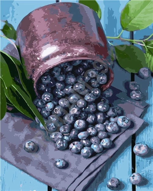 Картина по номерам 40х50 VA-2855