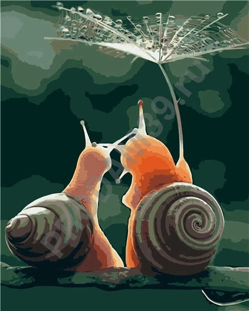 Картина по номерам 40х50 VA-2852