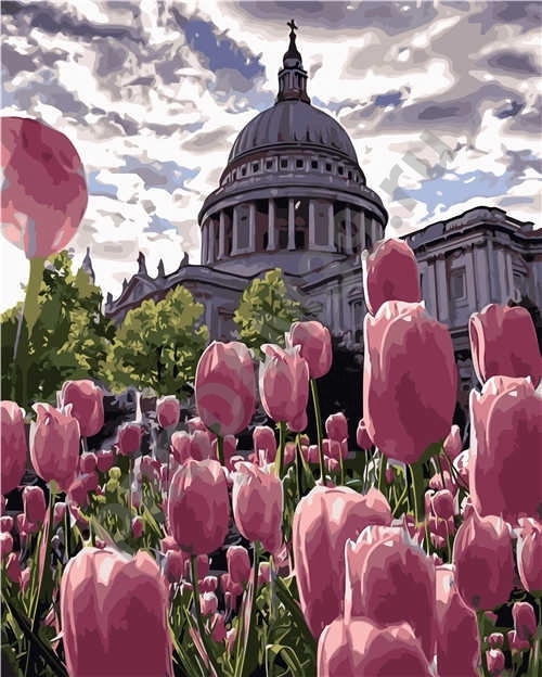 Картина по номерам 40х50 VA-2547