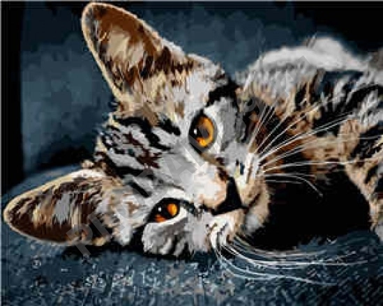 Картина по номерам 40х50 VA-1966