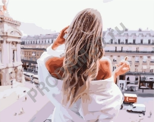 Картина по номерам 40х50 GX US10029