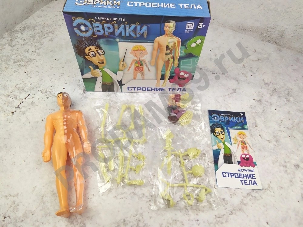 Научный опыт 