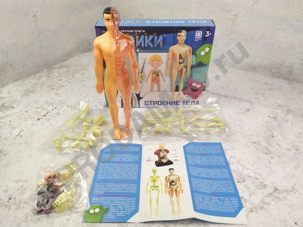 Научный опыт 