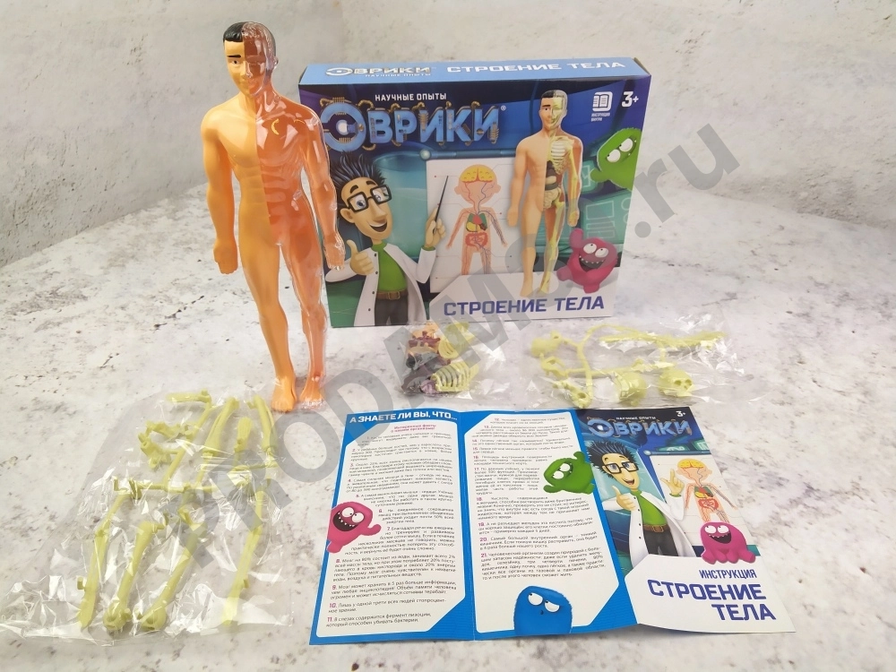 Научный опыт 