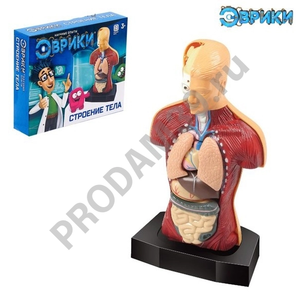 Научный опыт 