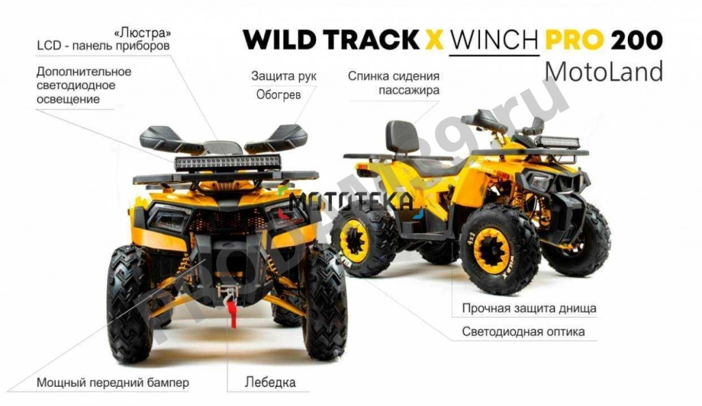 Квадроцикл подростковый WILD TRACK X WINCH PRO 200 (баланс. вал) (2022) (машинокомплект)