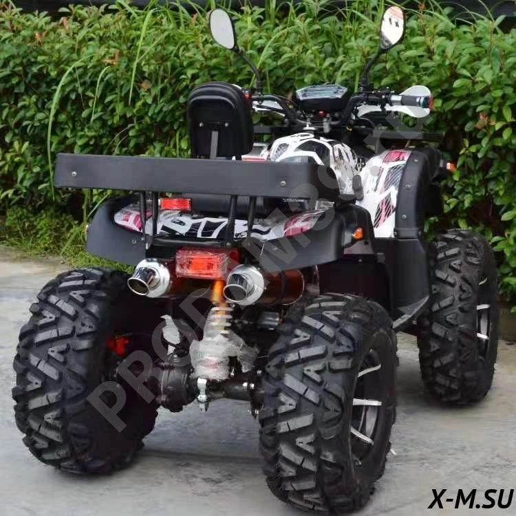 Квадроцикл Promax (Промакс) 320 DOMINATOR (машинокомплект)