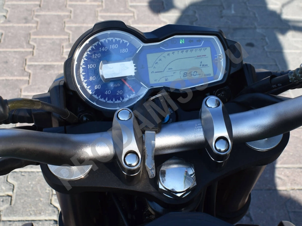 Мотоцикл дорожный Regulmoto (Регулмото) T - Leopard 300 с ПТС