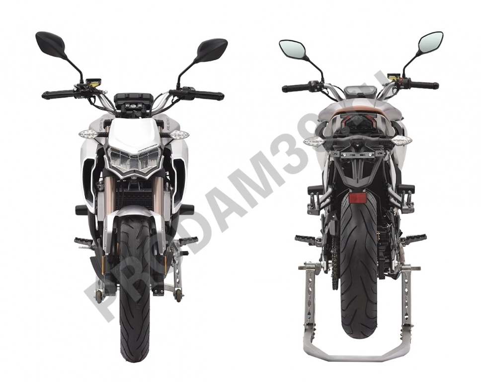 Мотоцикл дорожный Regulmoto (Регулмото) ALIEN MONSTER 300 с ПТС