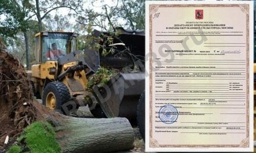 Помощь в получении разрешения на удаление дерева