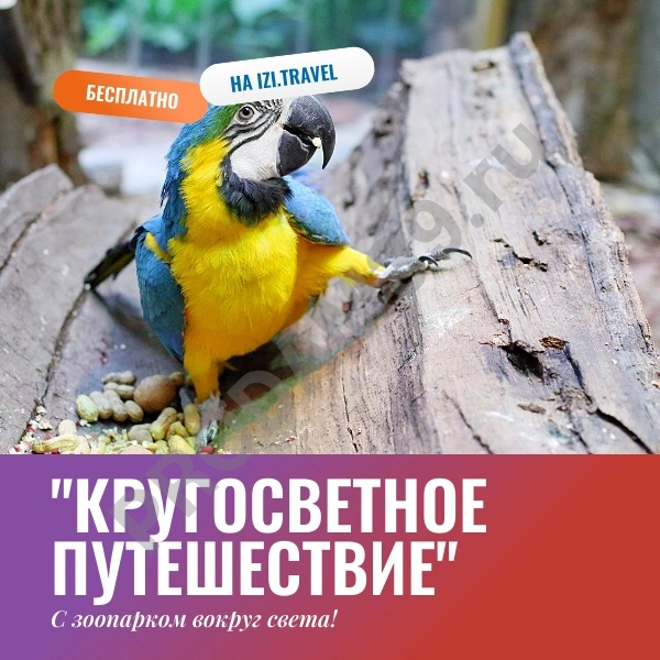 Детский квест 