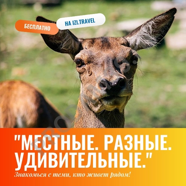 Аудиомаршрут 