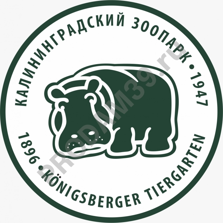 Детский входной билет