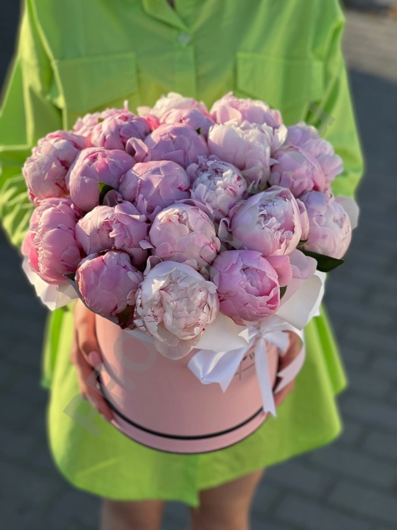 19 пионов в коробке