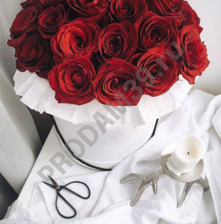 Шляпная коробка «Медиум» с 25 красными розами