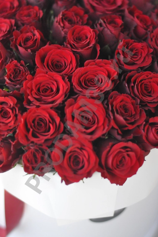 Шляпная коробка «Люкс» из 51 розы с мелким бутоном