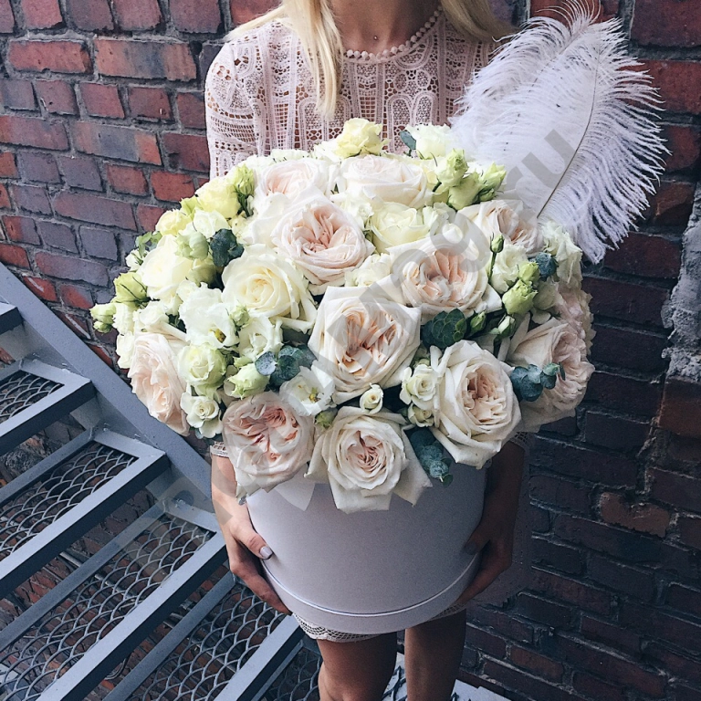 Коробка-гигант с пионовидными парфюмированными роз О`Хара