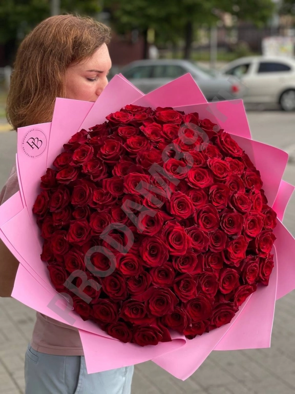 Красные розы 60см Эквадор сорт Эксплорер