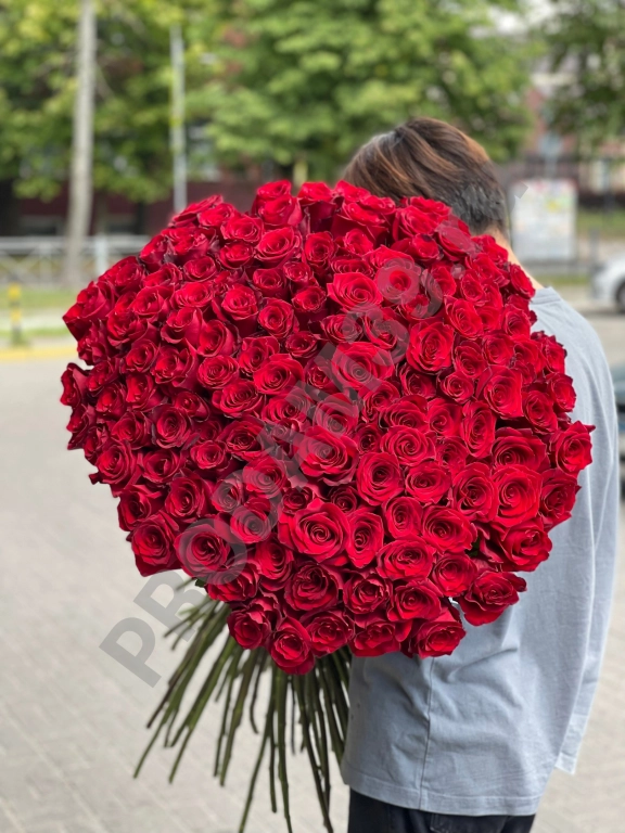 151 метровая роза