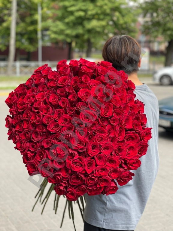 151 метровая роза