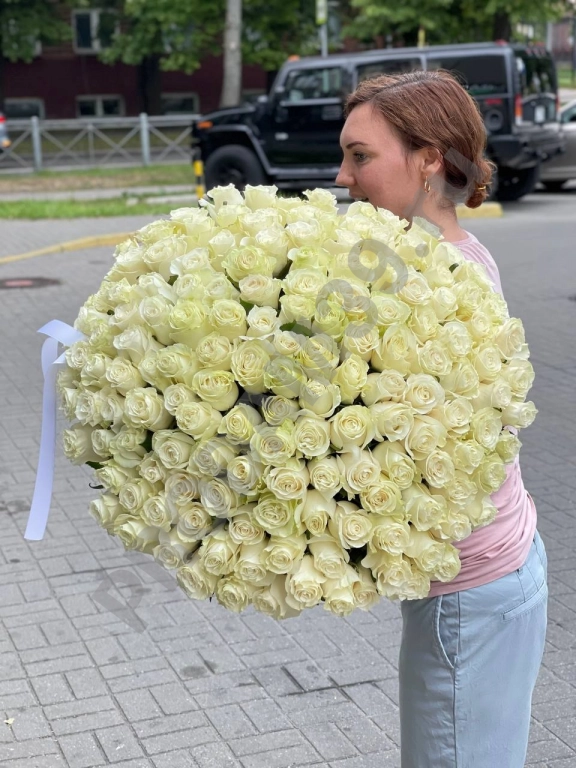 151 роза 60см сорта Мондиаль