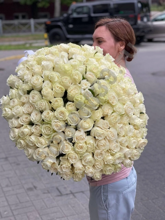 151 роза 60см сорта Мондиаль