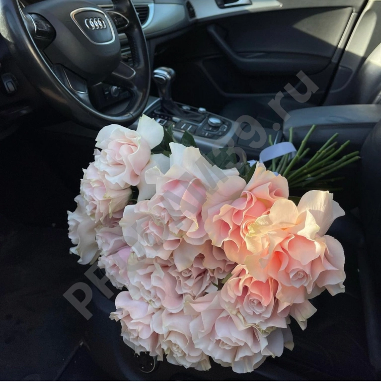 Пинк Мондиаль_