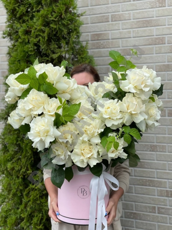 Огромная Коробка вывернутых роз сорта мондиаль