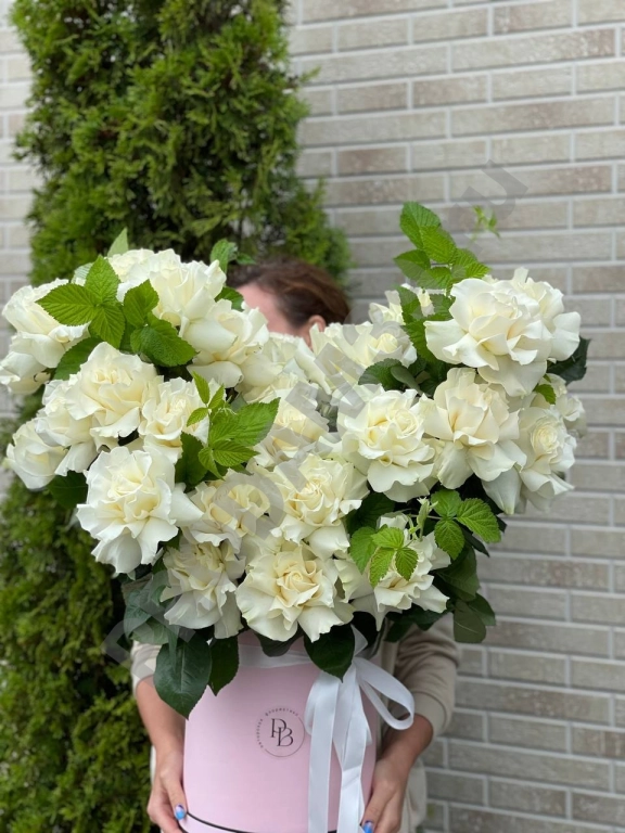 Огромная Коробка вывернутых роз сорта мондиаль