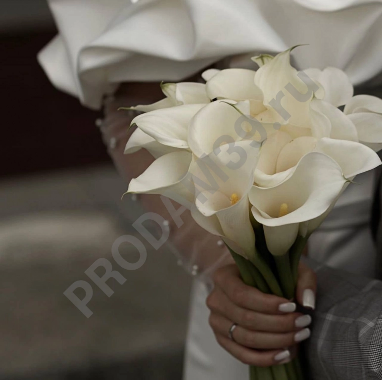 Свадебный букет из Калл