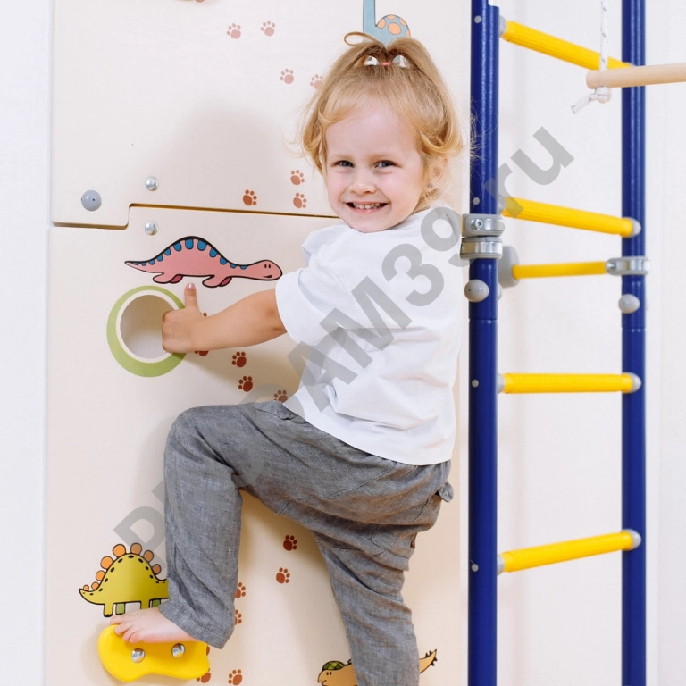 Детский спортивный комплекс пристенный ROMANA S7 со скалодромом (Комплект №9)