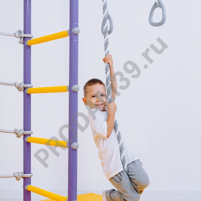 Детский спортивный комплекс пристенный ROMANA R4