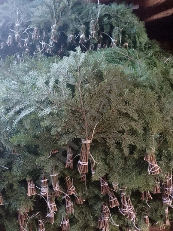 Веник пихтовый