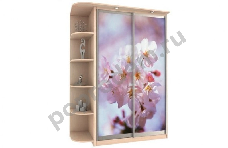 Шкаф купе 2-х дверный с фотопечатью