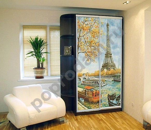 Шкаф купе 2-х дверный с фотопечатью