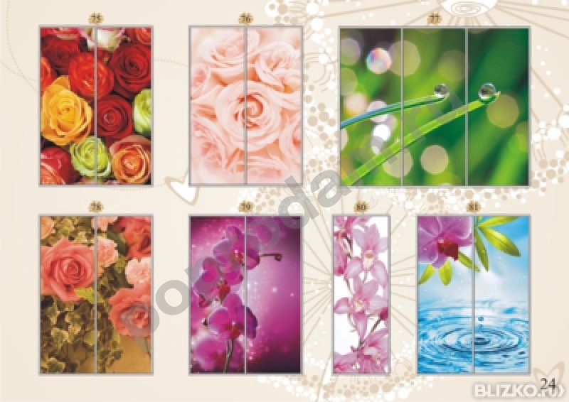 Шкаф купе 2-х дверный с фотопечатью