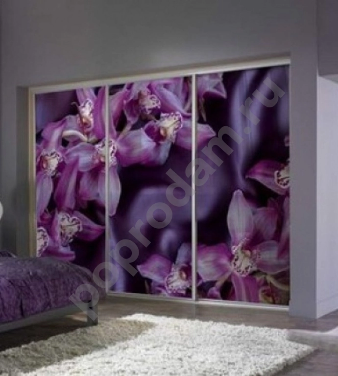 Шкаф купе 3-х дверный с фотопечатью