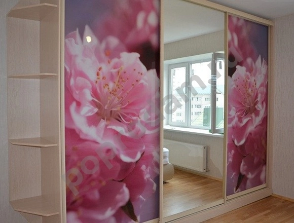 Шкаф купе с фотопечатью и зеркалом