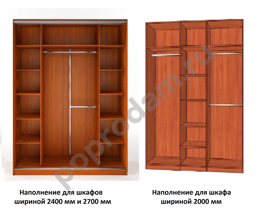 Шкаф купе с 1 зеркалом и 2 рисунками