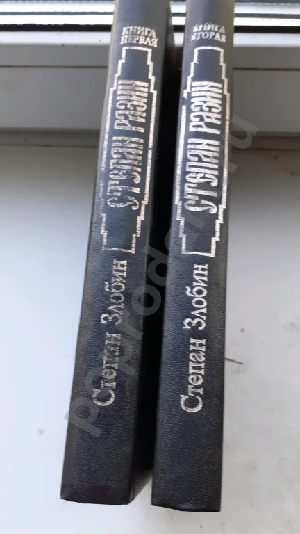 Злобин разин степан