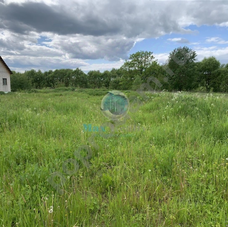 Дом в Москва Кленовское поселение, № 100 кв-л,  (45 кв.м)