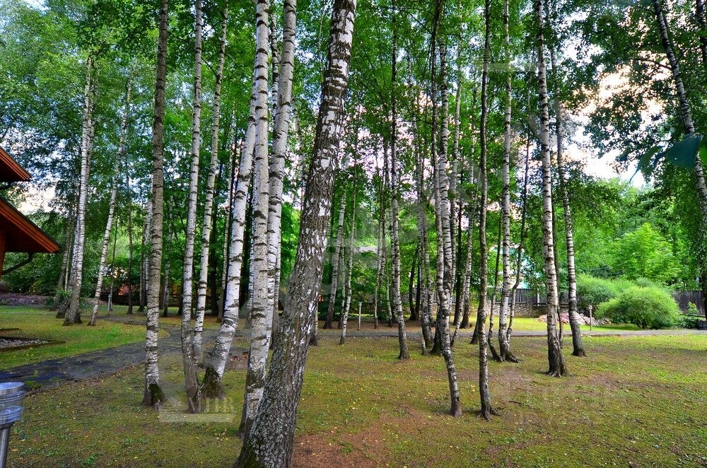 Дом в Москва Десеновское поселение, ул. Старые Ватутинки (328 кв.м)