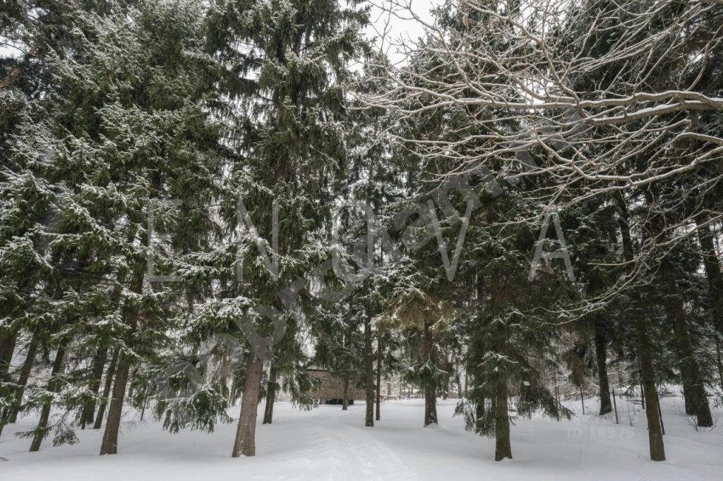 Дом в Москва Десеновское поселение, № 5 кв-л,  (743 кв.м)